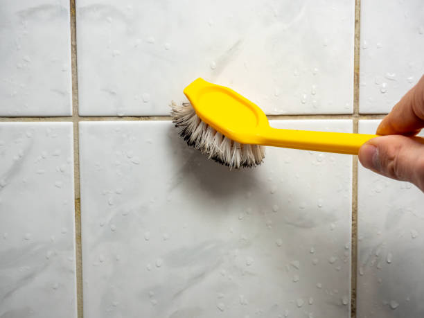 Best Professional Mold Removal  in Olympia, SC